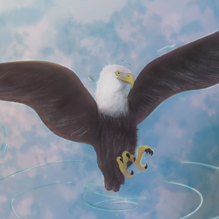 Ilustración de águila «Zarzemat»